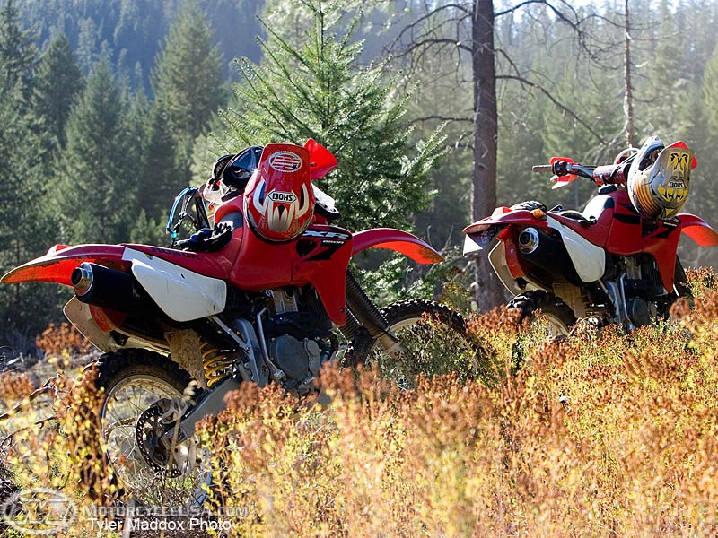 款本田XR650R摩托车图片4