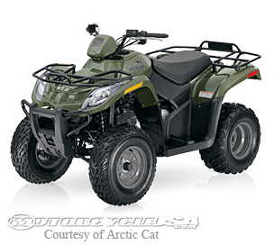款北极猫DVX 250摩托车图片1