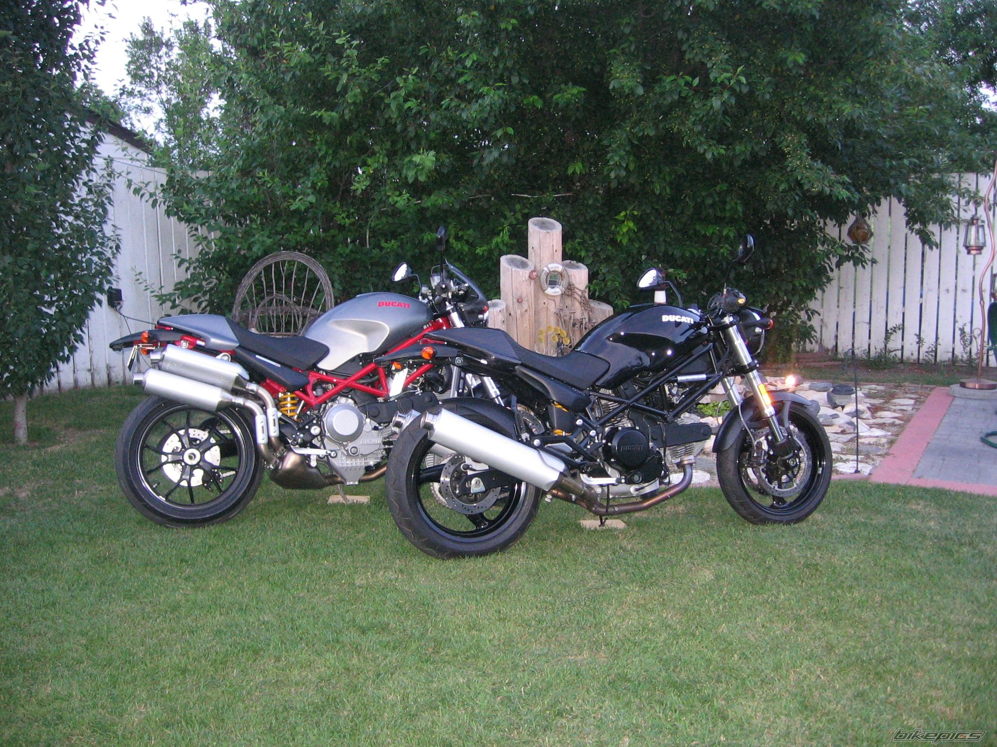 2007款杜卡迪Monster 695摩托车图片3